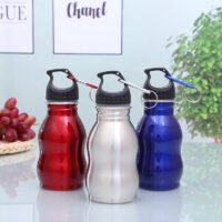 Single wall stainless steel bottle