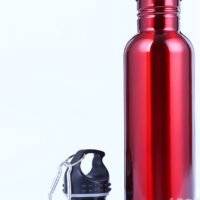 Single wall stainless steel bottle