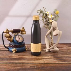 eco bamboo bottle